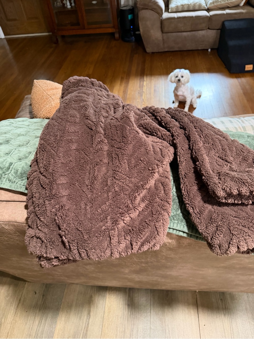 Pilcro Chocolate Brown Teddy Jacket